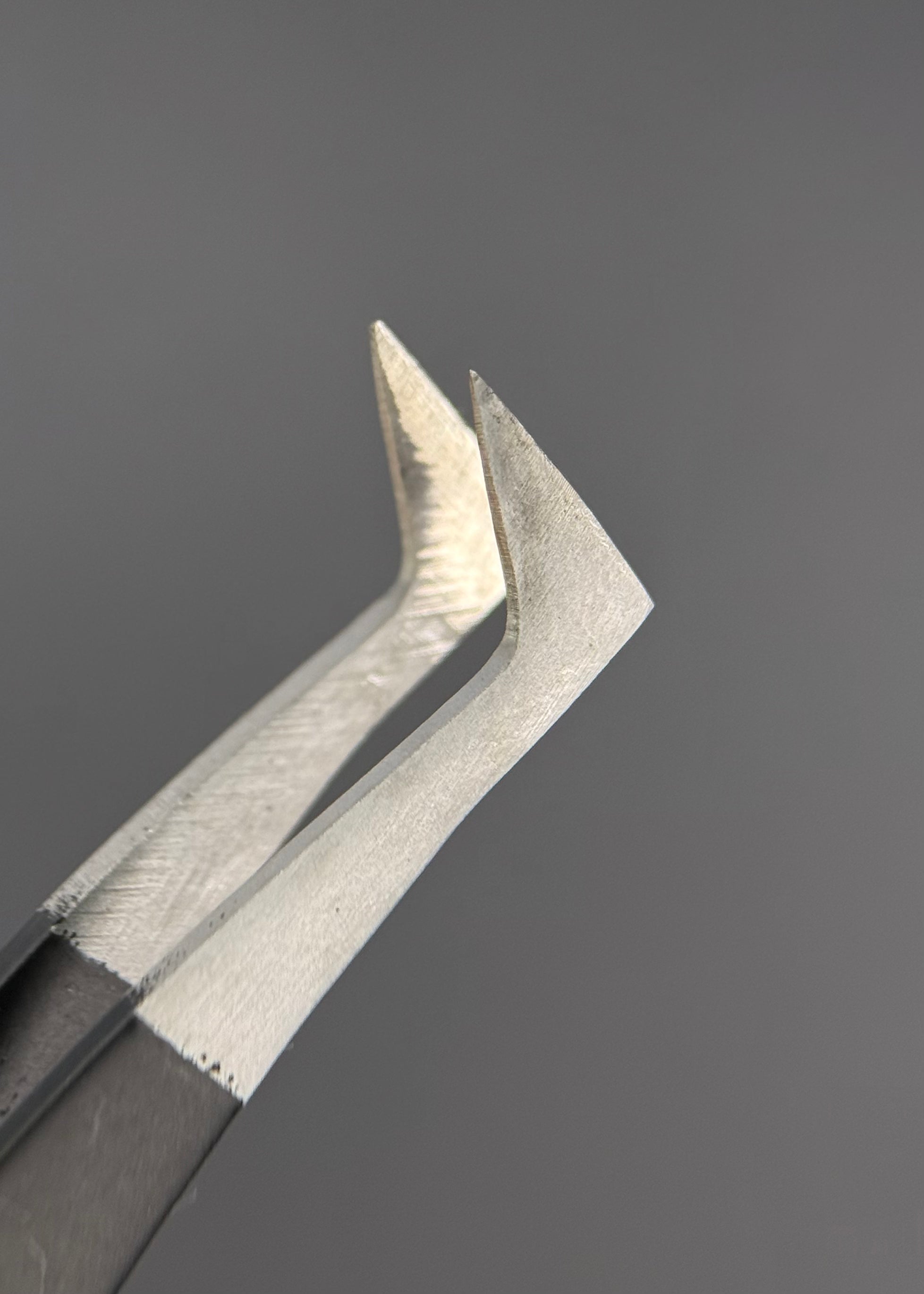 Pinza Ascia Nera