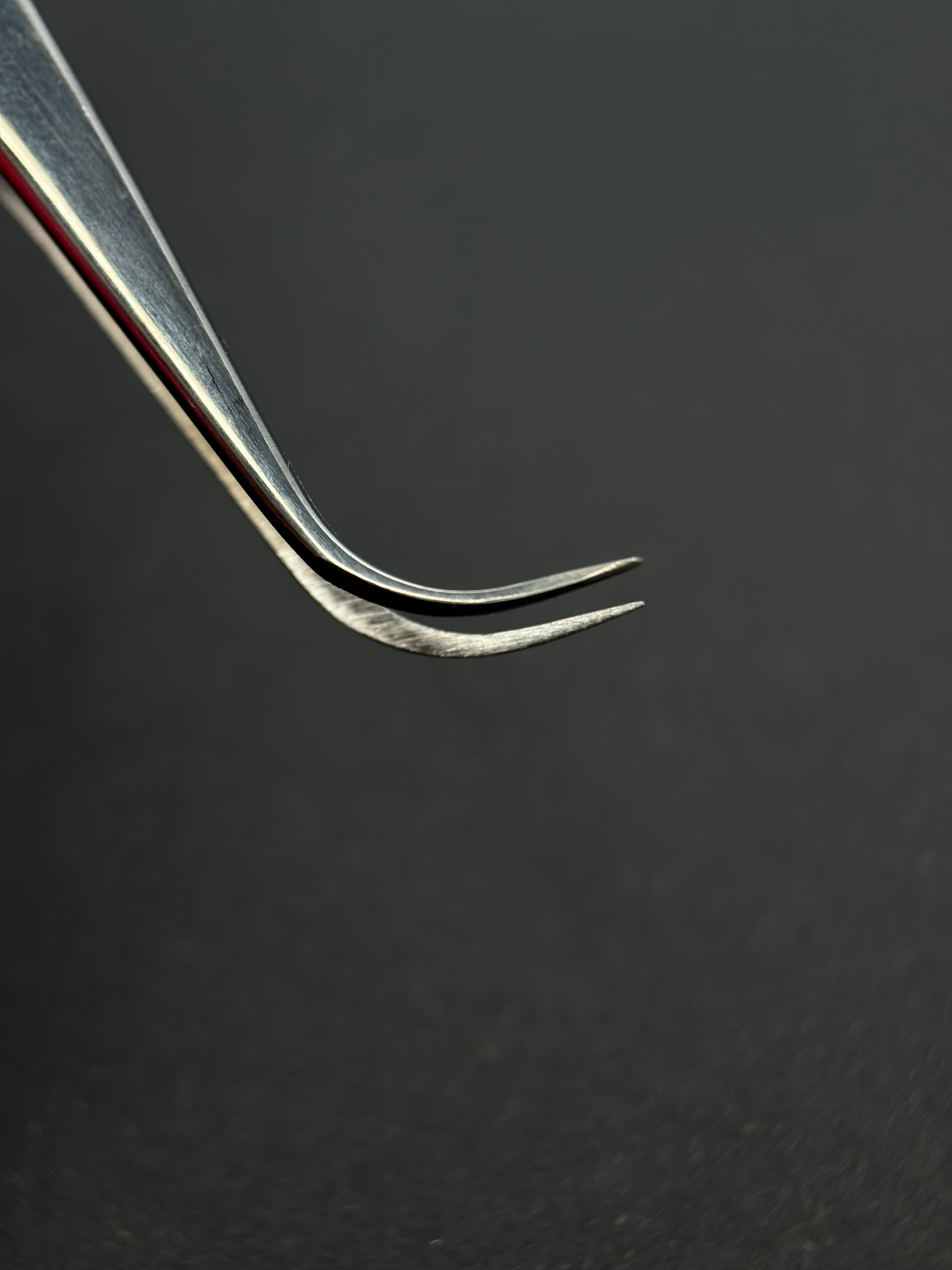 Pinza Gancio Lungo-Linea Ornament