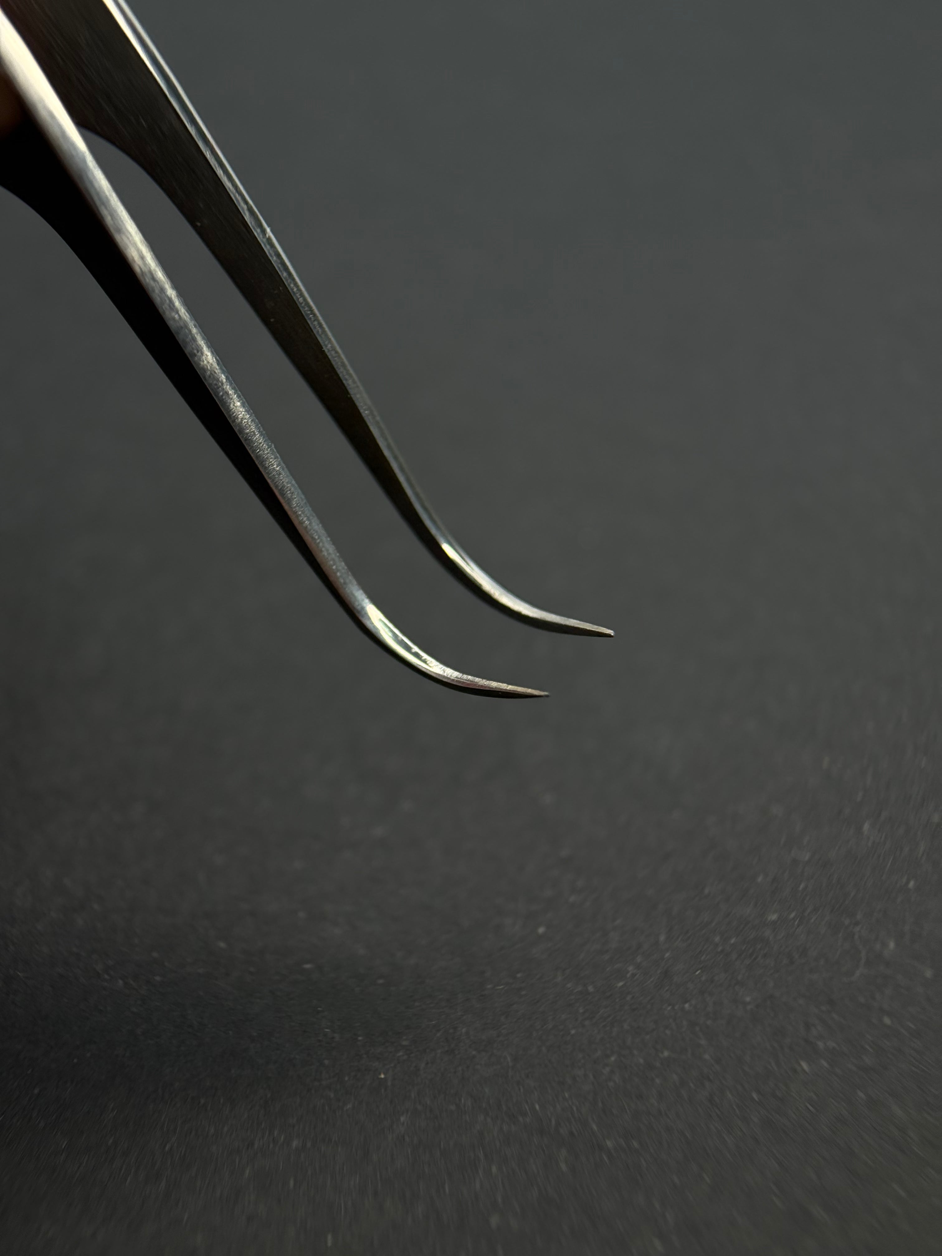 Pinza Gancio Lungo-Linea Ornament