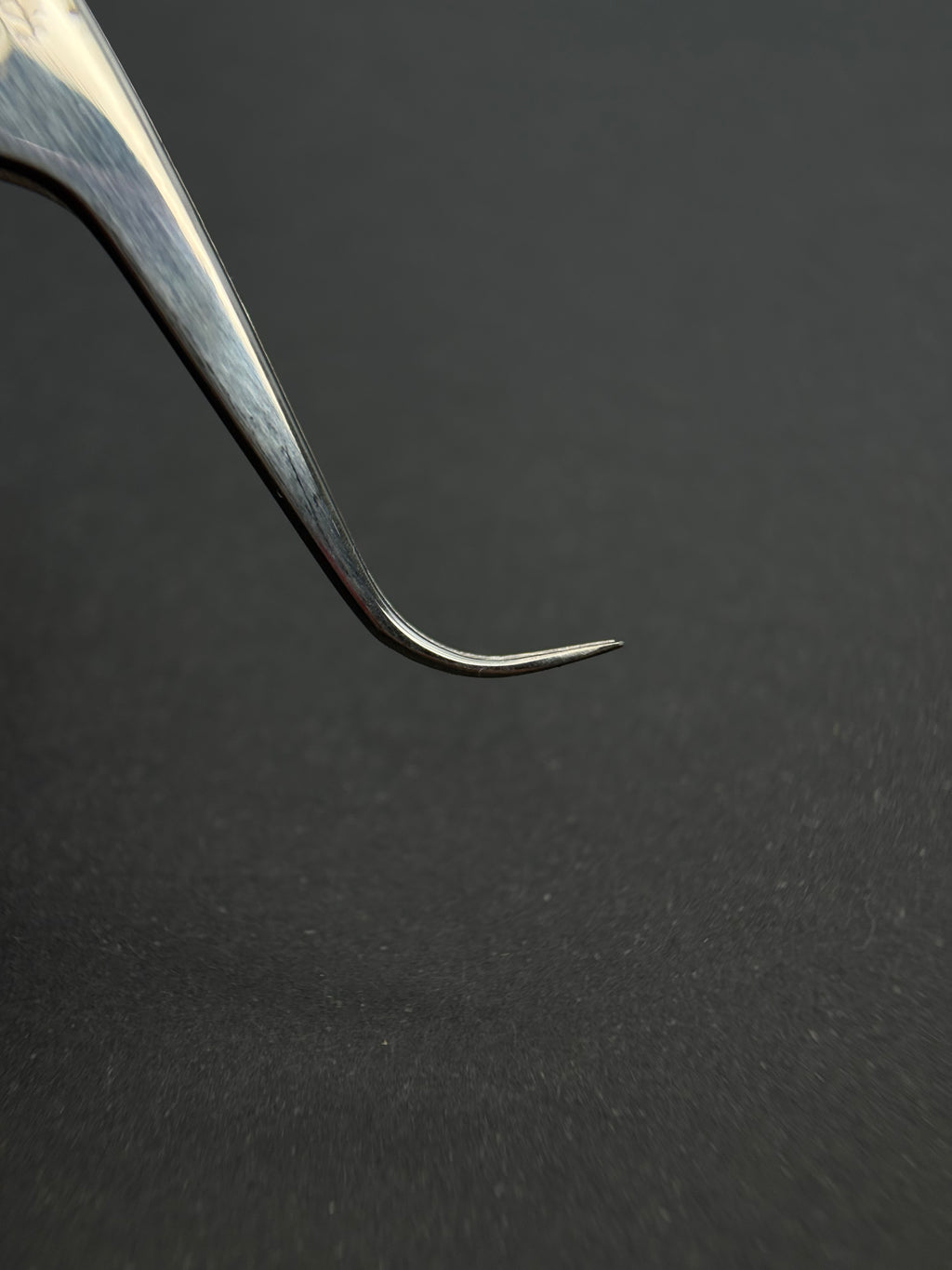 Pinza Gancio Lungo-Linea Ornament