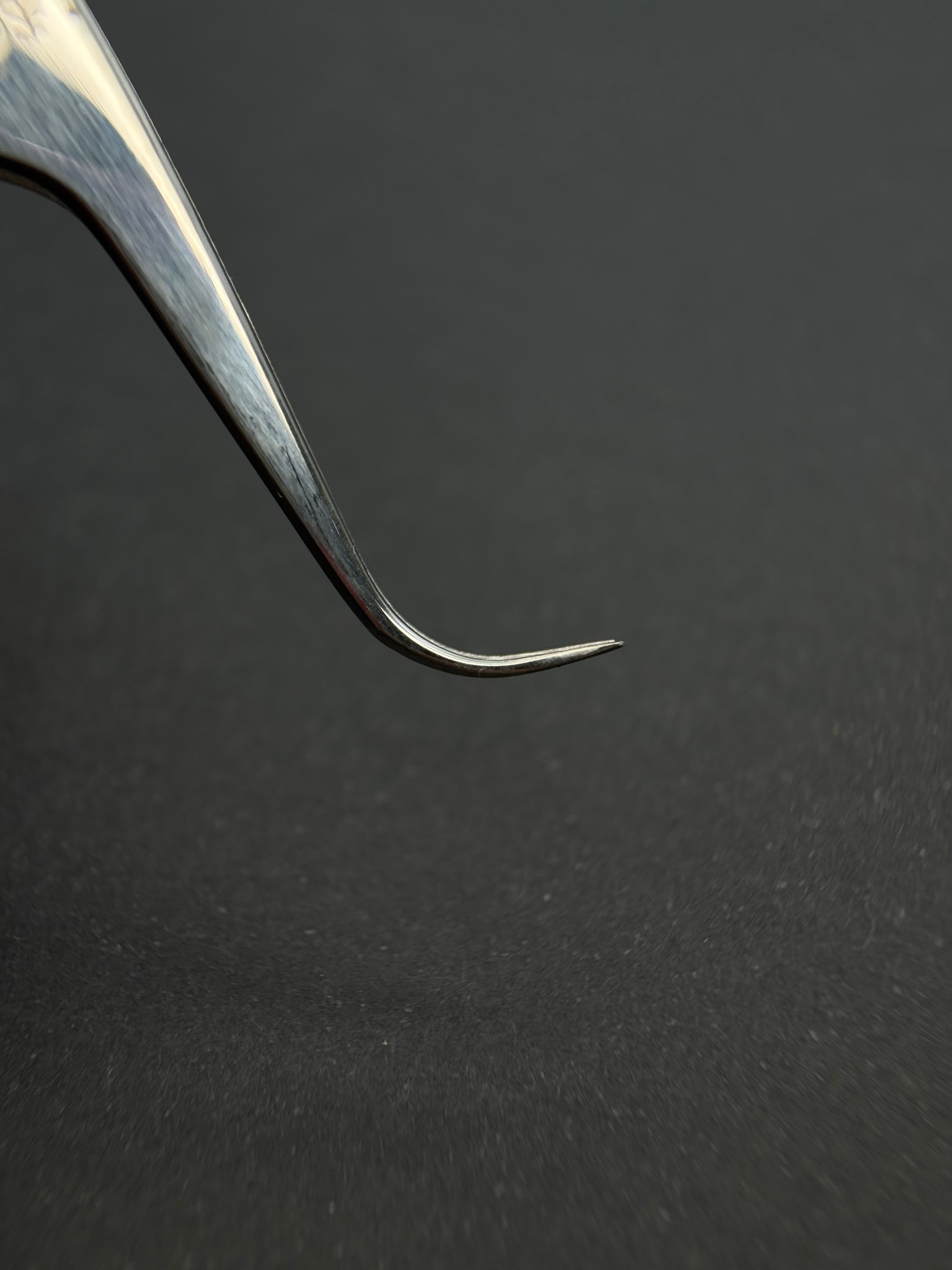 Pinza Gancio Lungo-Linea Ornament